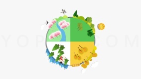 智慧科技地球板块素材PNG格式