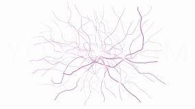 创意科技元素发散大脑神经PNG透明图片
