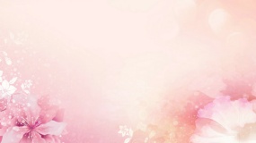 细腻高级粉墨封面图