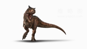 远古时代恐龙10 透明