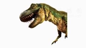 实景恐龙14 png文件