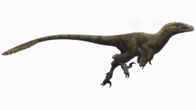 侏罗纪恐龙公园恐龙18 PNG