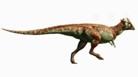 恐龙时代恐龙19 免抠图片