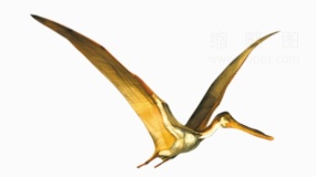 清晰恐龙23 免抠