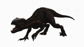 恐龙大全恐龙29 png图片