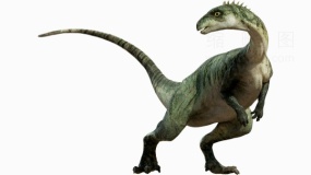 侏罗纪世界恐龙33 PNG透明图片