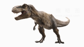 侏罗纪公园恐龙34 PNG