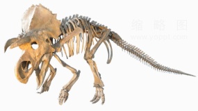 恐龙图鉴恐龙52 PNG免抠图