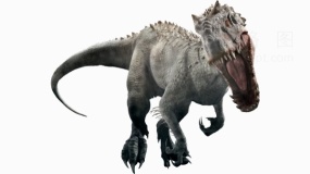 超清晰恐龙57 PNG文件
