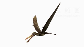 恐龙种类图片恐龙62 png文件