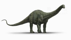 恐龙时代恐龙83 免抠图片