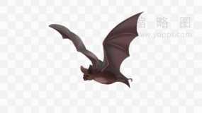 蝙蝠元素透明图片
