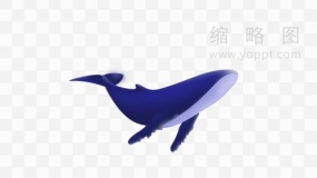 精美鲸鱼图片素材46 png文件
