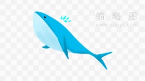 超美鲸鱼图片素材47 免费下载png