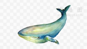 海洋鲸鱼图案素材63 免费下载png