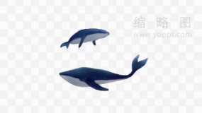 精美鲸鱼图片素材94 png文件
