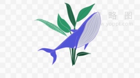 超美鲸鱼图片素材95 免费下载png