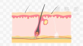 皮肤表层素材3 免抠图片