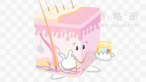 脸部皮肤研究素材34 PNG