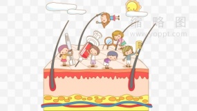 脸部皮肤拆解素材35 免抠图片