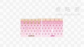 皮肤层次素材83 免费png素材