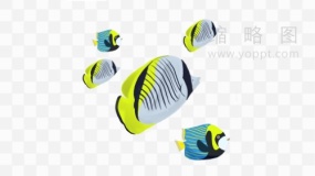 鱼群素材1 PNG透明图片