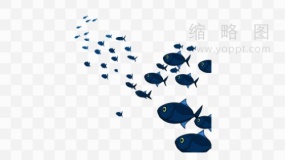 海洋里的鱼群素材18 PNG