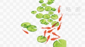 花式洄游的鱼群素材19 免抠图片