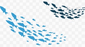 鱼群图片素材25 PNG文件