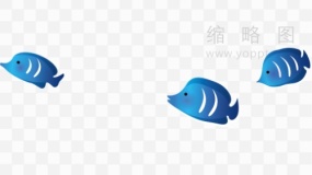 海洋鱼类素材28 免费png素材