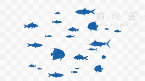 聚集的鱼群素材29 png图片