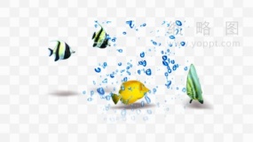 鱼群花式游素材3 免抠图片