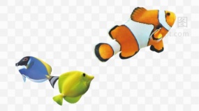 海底世界鱼群素材35 免抠图片