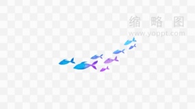 鱼群插图效果素材44 免费png素材