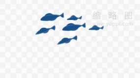海底鱼群素材54 透明格式