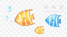 鱼群摄影素材73 PNG文件