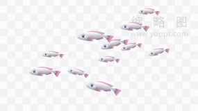 卡通鱼群素材83 免抠图片