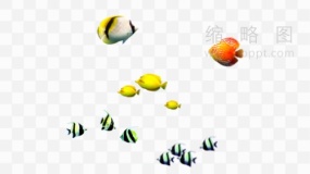 海底世界鱼群素材84 PNG免抠图