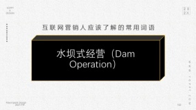 水坝式经营(Dam Operation)