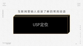 USP定位