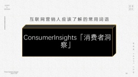 ConsumerInsights「消费者洞察」