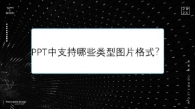 PPT中支持哪些类型的图片格式?