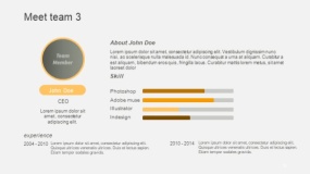 高端金色团队人物版式PPT图表(15)