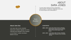 高端金色管理层介绍PPT图表(16)