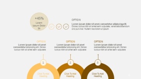 高端金色半圆形选项信息图PPT图表(97)