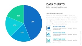 圆形大饼图 数据图表PPT素材