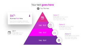 魅力紫色工作汇报PPT图表下载(17)