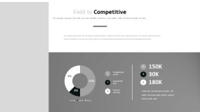 文艺淡雅浅灰色PPT图表(15)