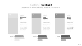 文艺淡雅浅灰色PPT图表(17)