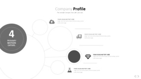 文艺淡雅浅灰色PPT图表(74)